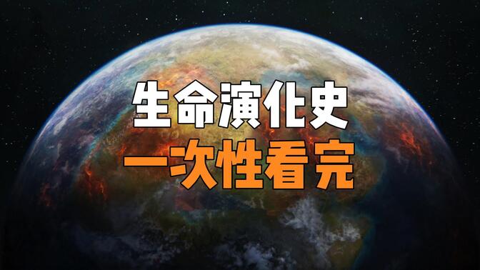 一次看完地球46亿年生命演化史，从地球诞生到人类文明，献给每一位存在过的生灵！