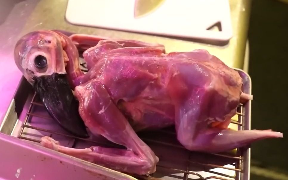 日本刺身 又有了新食材 流行起了吃乌鸦