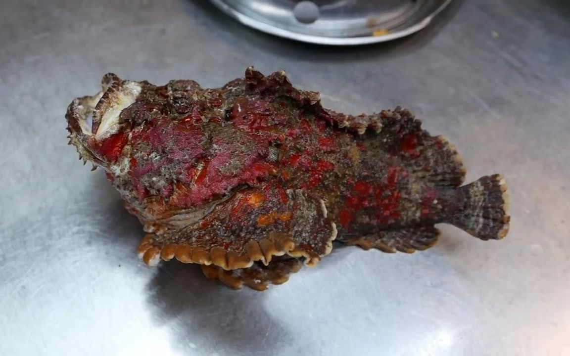 【马来西亚料理】水煮剧毒石头鱼