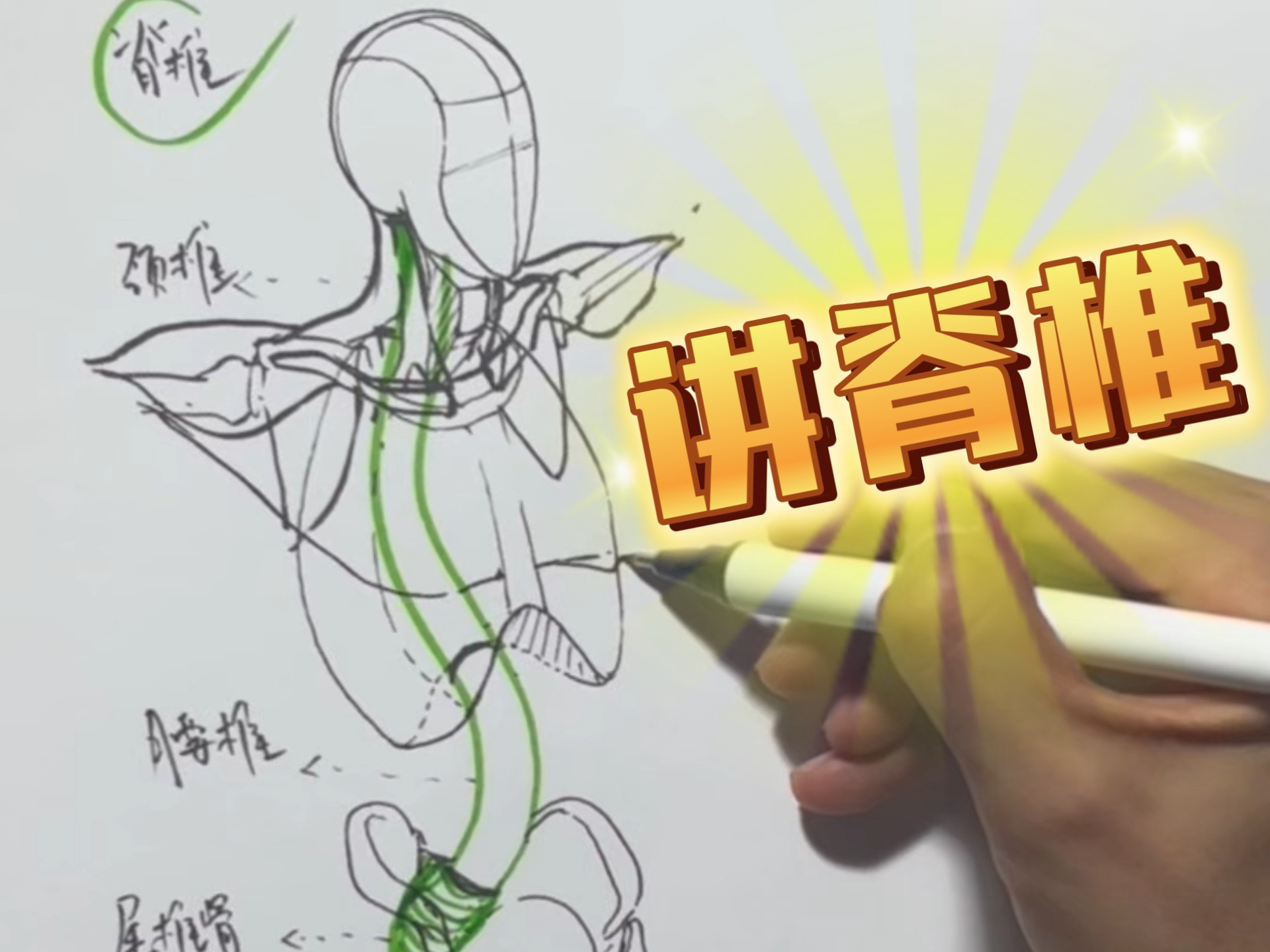 让你秒懂的人体脊椎连接教程来啦