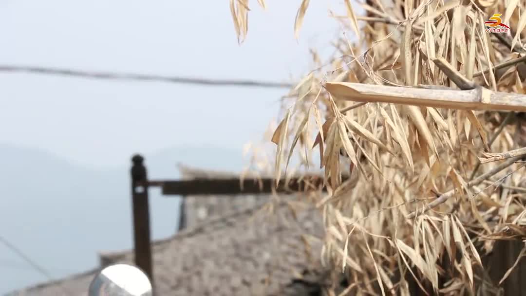 【缘尽世间】刹那 学生自制MV视频在线观看_