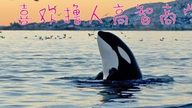 c7fd840b2d47cfee0eee7e87e5ea1001d7576196.jpg@280w_158h_1c_100q.jpg