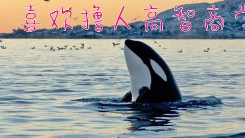 c7fd840b2d47cfee0eee7e87e5ea1001d7576196.jpg@480w_270h_1c