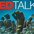 【启点字幕组】【TED2015】生机盎然的水下艺术博物馆（双语）