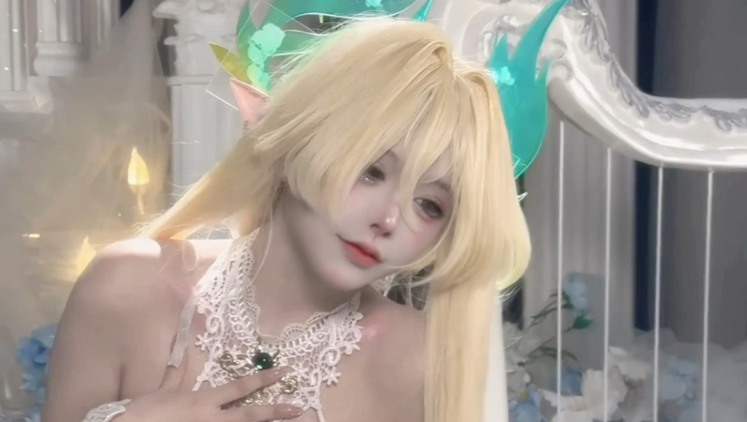 申请加入喵喵教