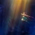 【4k/60贞】水下中国舞蹈《祈》婉若游龙!《丽人行》精华完整版