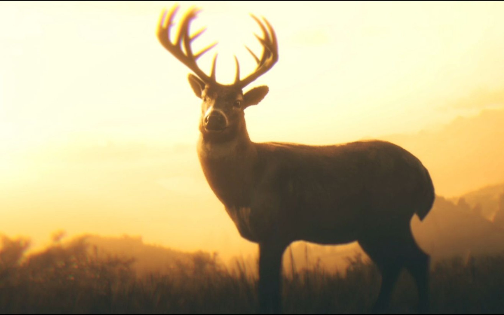 【荒野大镖客2】鹿结局的那头鹿可以杀死吗？