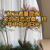 头疗美容