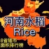 河南18市水稻种植面积排行榜，谁才是中州鱼米之乡？