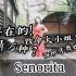 【婉琳】Senorita*风情万种的剪辑菌给大家红红火火过大年了嘞*