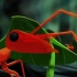 六一儿童话剧音乐剧《迷路的小蚂蚁》表演LED动态背景视频 高音质背景音乐 舞美视频