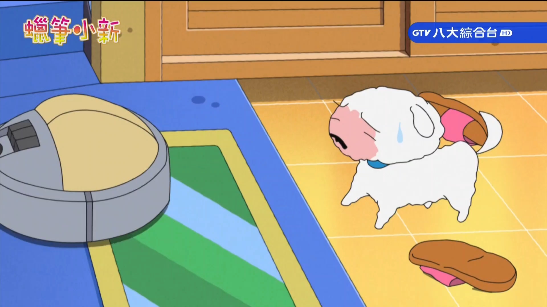 小白與掃地機器人 20260215