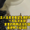 主人去老家看望生病的外婆，一天后才发现家里的鸭鸭还没吃饭，看把鸭子给饿的