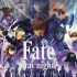 【Fate&复联】用复联4的方式打开Fate HF2