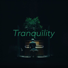 【官方投稿】SawanoHiroyuki[nZk]:Anly「Tranquility」MUSIC VIDEO Short ver