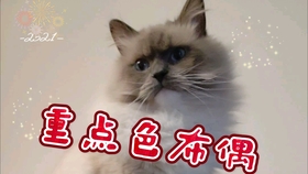 c8d3dac965a2dbc1e9b5dd3e2a5917a97bcba5ce.jpg@280w_158h_1c_100q.jpg