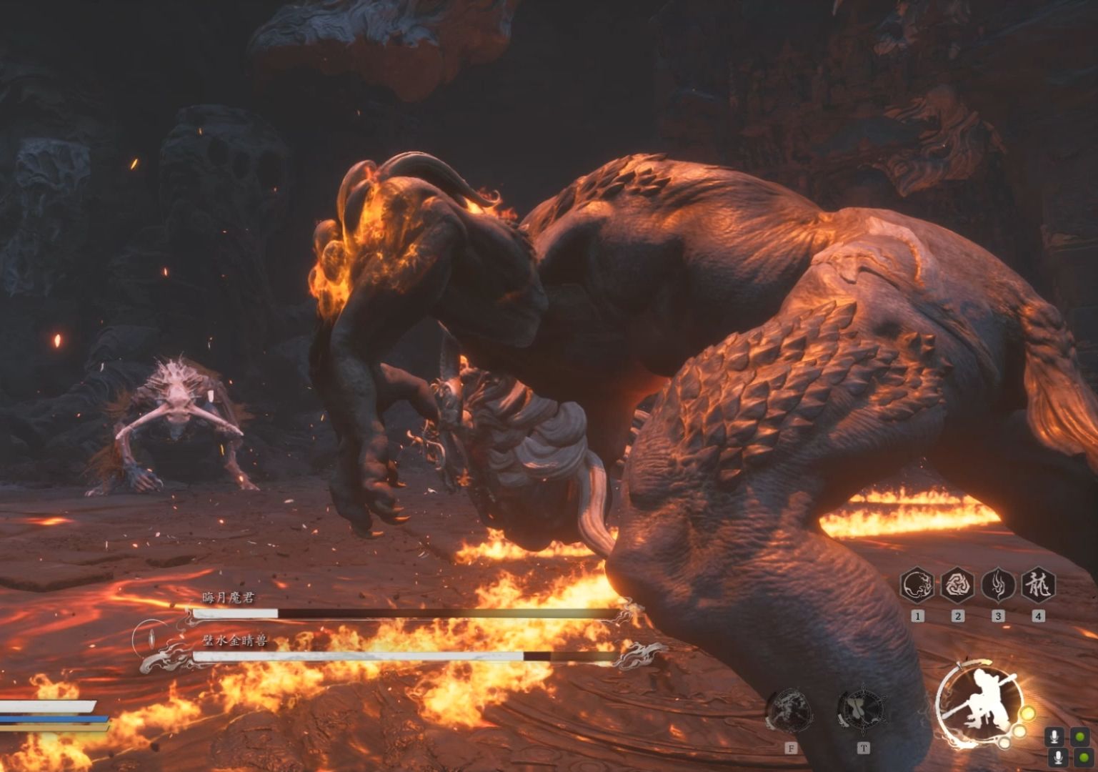 碧水金晴兽VS晦月魔君