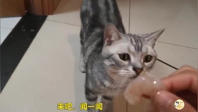 c8e813c4801d4c6a1f161dc88ac8c326a4d71bab.jpg@280w_158h_1c_100q.jpg
