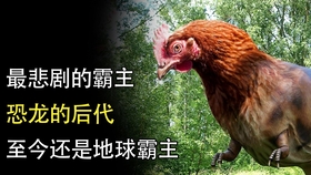 c8f7ada0f86a32589014163fa2c8f14c39f6d069.jpg@280w_158h_1c_100q.jpg
