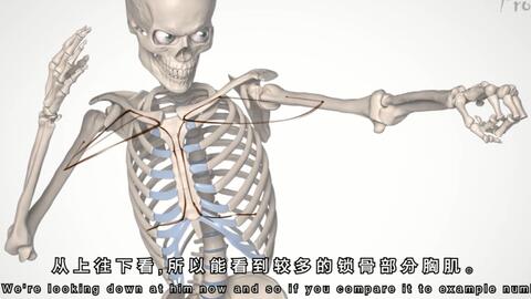 c9058a9d496d9ead2c1a03468bcb3c3107cd5775.jpg@480w_270h_1c
