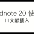 Endnote 20使用Ⅲ文献插入