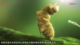 c912d39fab7f1876e625fa2fcae2fe65347e630c.jpg@280w_158h_1c_100q.jpg