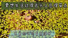 c92a633352e95f8c99ef3bfb6862cb76337f8483.jpg@280w_158h_1c_100q.jpg
