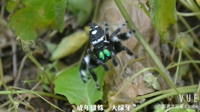 c92d54abe1d51a0402506469f64075be01fdfcb0.jpg@280w_158h_1c_100q.jpg