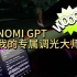 NOMI GPT-我的专属调光大师