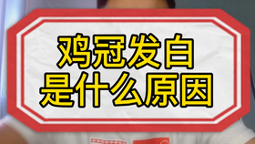 c938b9fa8a6bbec1ffed2f26868dcf7346de88d3.jpg@280w_158h_1c_100q.jpg