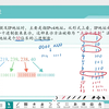 ip地址介绍  数字身份辨设备 初中信息科技