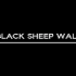 大作的打开方式（XIV）- Black Sheep Wall