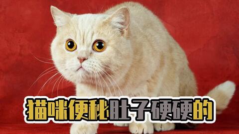 c972edfab667cbd70cfc6a794e73305feb566976.jpg@480w_270h_1c
