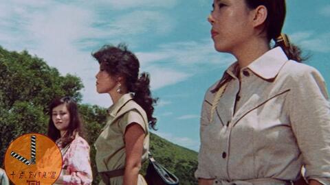 香港有多少女警司 c974ef1a6b4c3b5832f51755c53ac5b6cd4a7bd2.jpg@480w_270h_1c