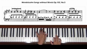 佐罗塔耶夫随想曲谱_海贼王佐罗(2)