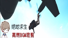 绝地求生bgm曲谱_绝地求生(3)