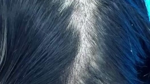 c9a7e23dc474b8bd69b68ef4136fea92c62c9a9e.jpg@310w_174h_1c_100q.jpg