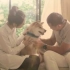 [柴犬Maru的日常]客串《一条狗的使命》日本宣传片~虽然镜头不多，但人家还是很努力地卖萌了哟(ง •̀_•́)ง