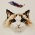 【水彩动物教程】水彩猫咪，喵星人的画法合集