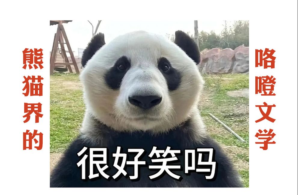 熊猫界有自己的咯噔文学！网友的嘴从不让我失望！