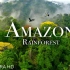 【减压放松视频】4k航拍-亚马孙热带雨林：地球上最大的森林和热带雨林