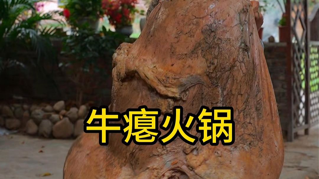 福建地区不一样的牛瘪火锅