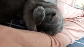 c9e2992c79d8d39cb645d25dfef7d2bf6ea5c39b.jpg@280w_158h_1c_100q.jpg