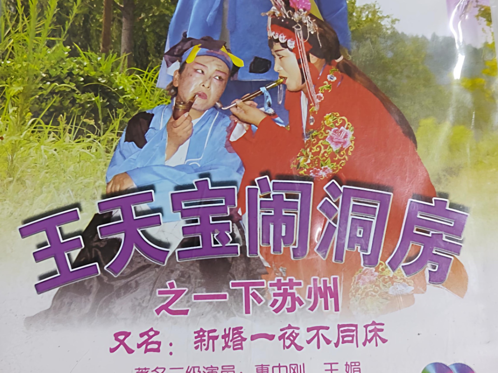 琴书《王天宝一下苏州》第3集 荒郊思乡