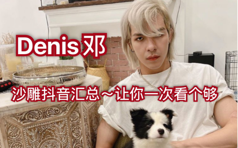 【Denis邓】沙雕抖音汇总~让你一次看个够哔哩哔哩bilibili