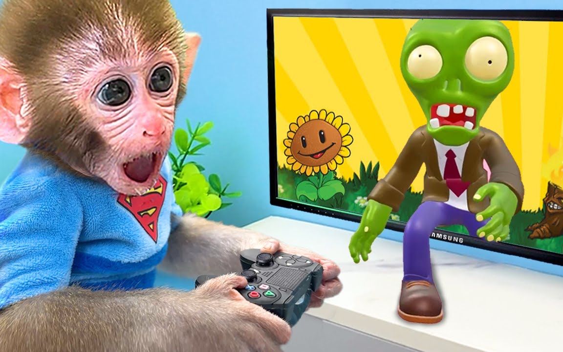 有趣的小猴子：比比最近迷恋上植物大战僵尸，它的游戏技术如何？