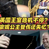 英国王室危机不停？安妮公主受伤还失忆