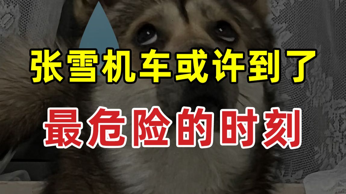 【JUMP】张雪机车或许到了最危险的时刻