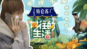 冒牌神帅，免费短剧观看指南，冒牌神帅，免费短剧观看推荐指南