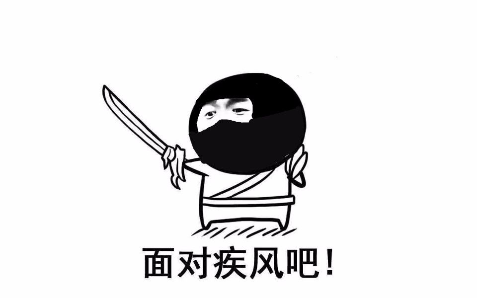 是因为最近正版打折才想起了有这么个系列 于是乎:面对疾风吧!
